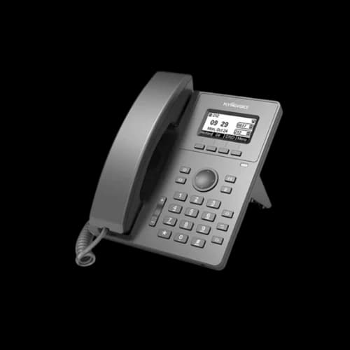Flyingvoice P10 2 SIP IP Phone