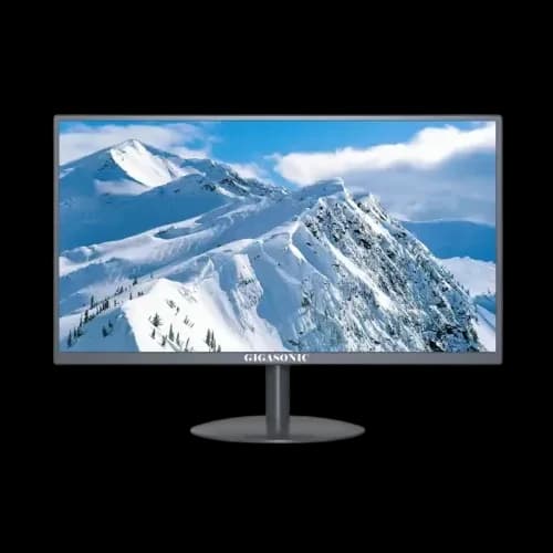 Gigasonic RB-G19S-300CVH 19 Inch LED WQXGA Monitor