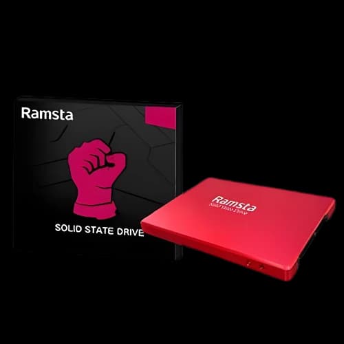 Ramsta S800 512GB SATA3 2.5 inch SSD