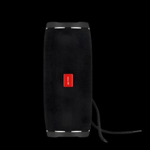 WESDAR K39 Portable Bluetooth Speaker