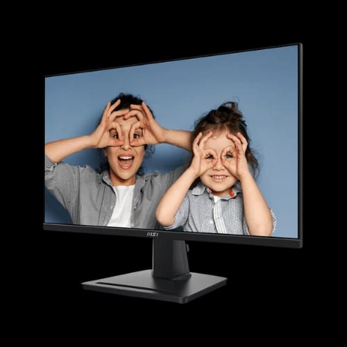 msi monitor 24inch full hd mp251w 100hz ips 1