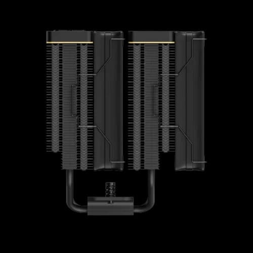 ocypus iota a62 bk side view