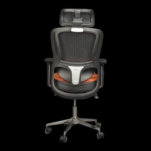 pcb ergo ease chair black orange back side view