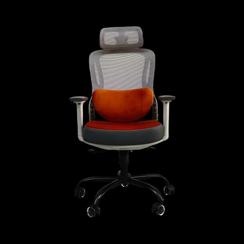 pcb ergo ease ergonomic chair