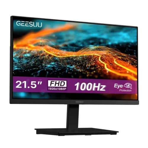 GEESUU BAFANG 21.5 INCH 100 HZ IPS FHD MONITOR -M215LF2(MF22S3F3A)