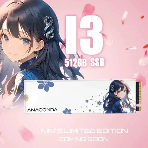 anacomda nini special edition 512gb m2 nvme pcie gen3x4 ssd with background