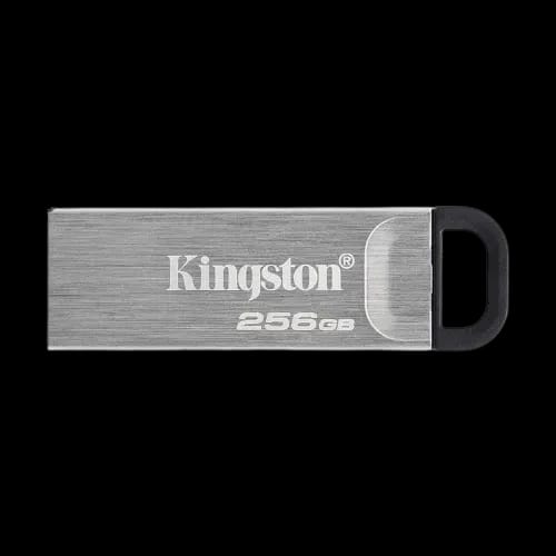 kingston pen drive usb 32 256gb dtkn
