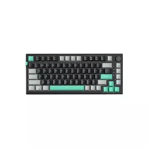 magegee sky81 dark elf