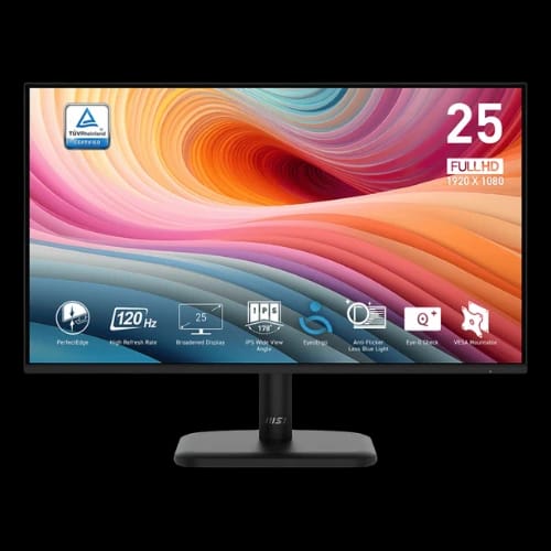 msi pro mp251l e2 245 120hz 1ms fhd ips business monitor main