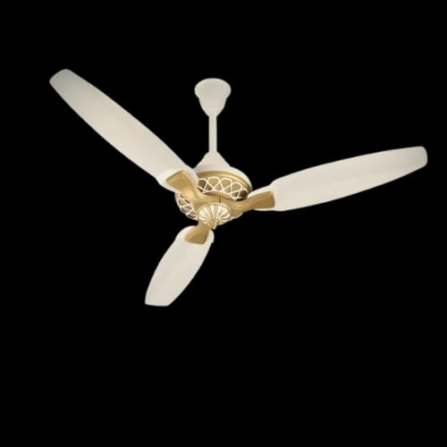 pakhtun pasha 52 bldc inverter ceiling fan with remote control main