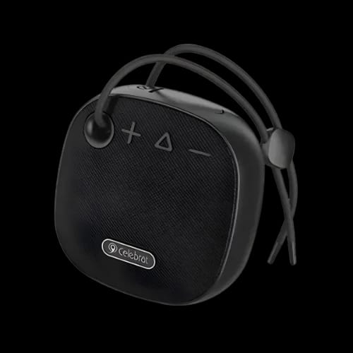 yison celebrat sp 19 portable bluetooth speaker main
