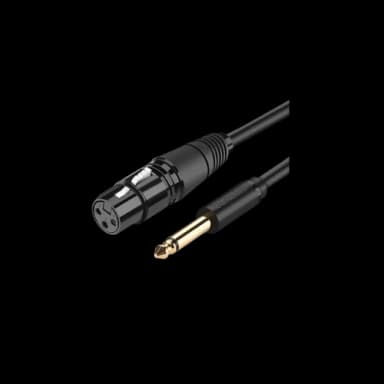 UGREEN AV131 6.5mm to Cannon Female AV Cable -
