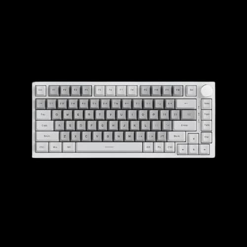 AJAZZ AK820 75% Wired RGB Hot-Swap Mechanical Keyboard (White Gray)