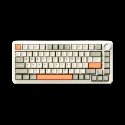 Ajazz AK820 MAX Plus Tri-Mode 75% Without Screen RGB Hot Swappable Mechanical Keyboard (Retro Keycaps, Flying Fish Switch)
