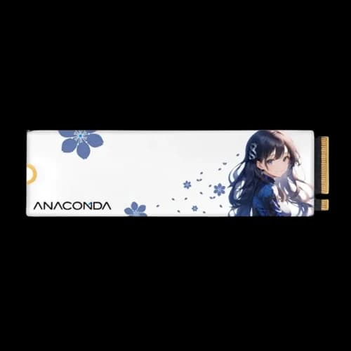 Anacomda NINI Special Edition 512GB M.2 NVMe PCIe Gen3x4 SSD