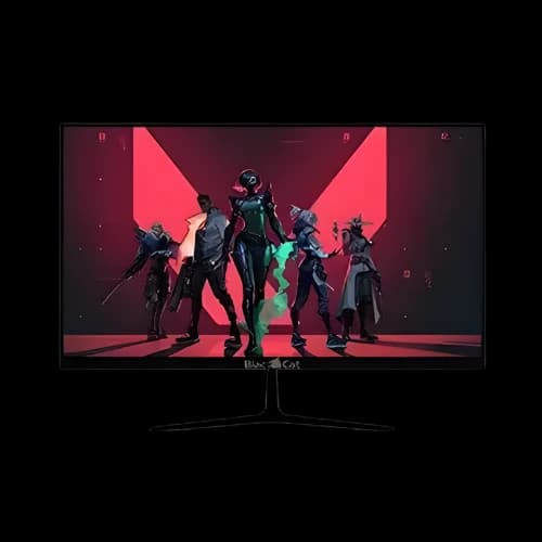 BlackCat C24i100 24-inch FHD 100Hz Frameless LED Monitor