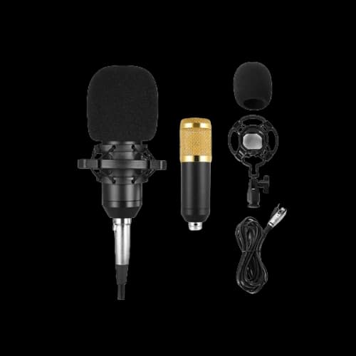 BMG BM800 HIGH PERFORMANCE CONDENSER MICROPHONE