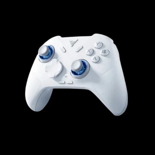 Flydigi Direwolf 4 Wireless Controller