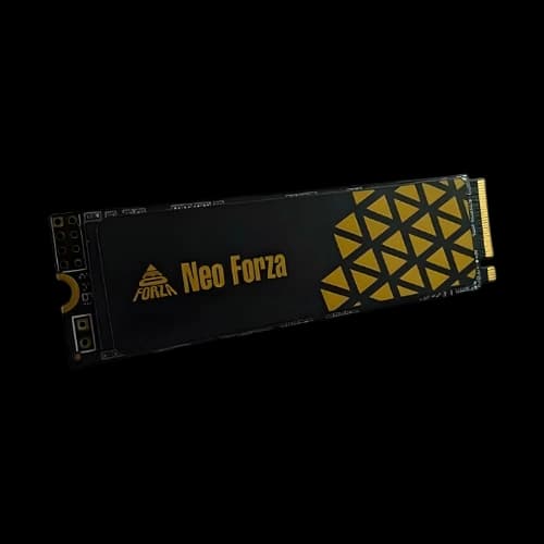 NEO FORZA NFP495PCI50 500GB Gen4 NVMe M.2 2280 SSD