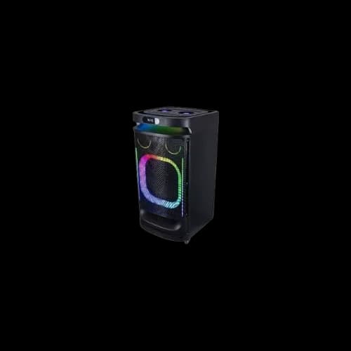 TEMEISHENG SK900S 2pcs wireless hand mic TROLLEY SPEAKER